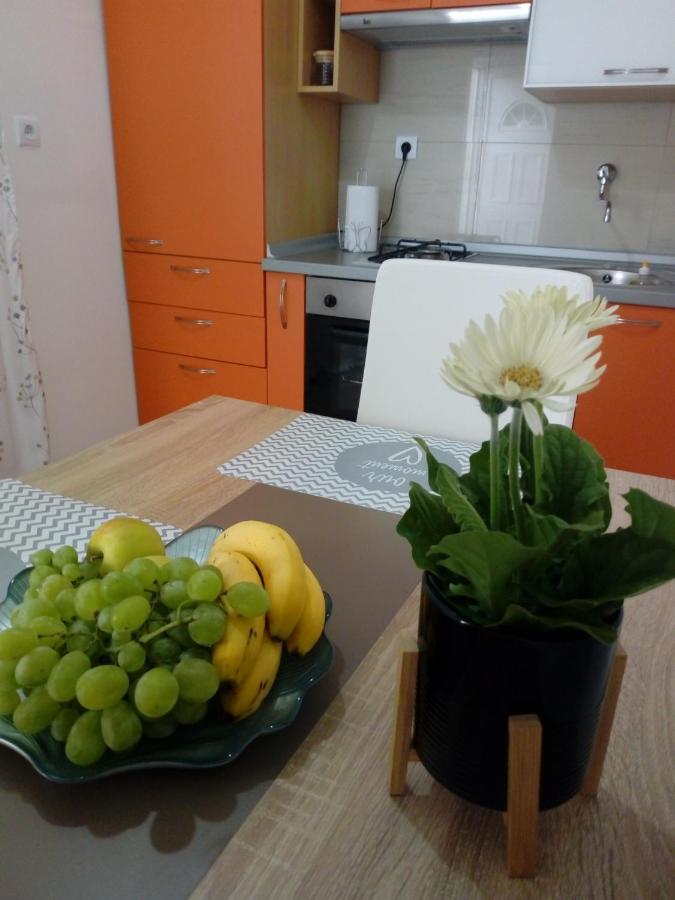 Apartman Radic トロギール エクステリア 写真