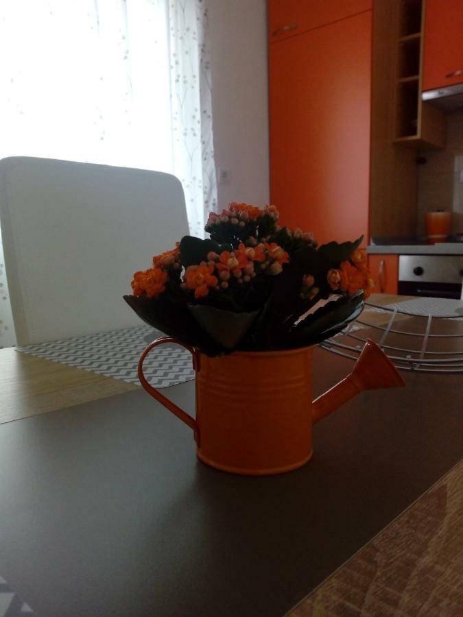 Apartman Radic トロギール 部屋 写真